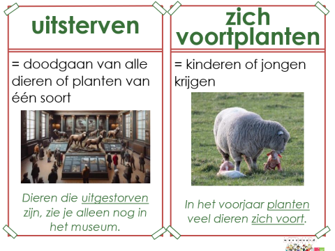 uitsterven