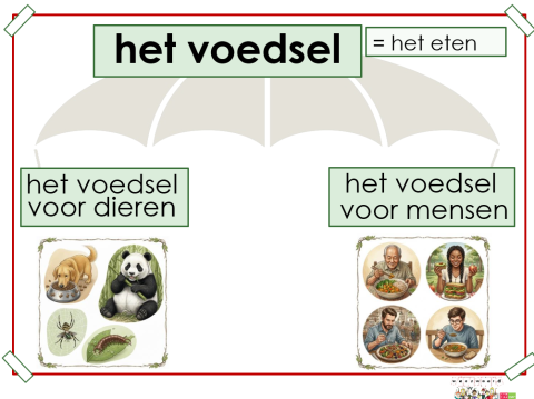 voedsel